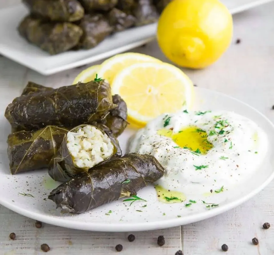 Dolmades at Alexander's Greek Cuisine